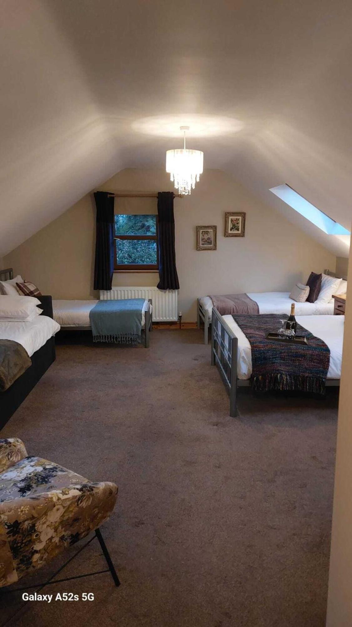 Dunhill Cottage B&B Hillsborough Habitación foto